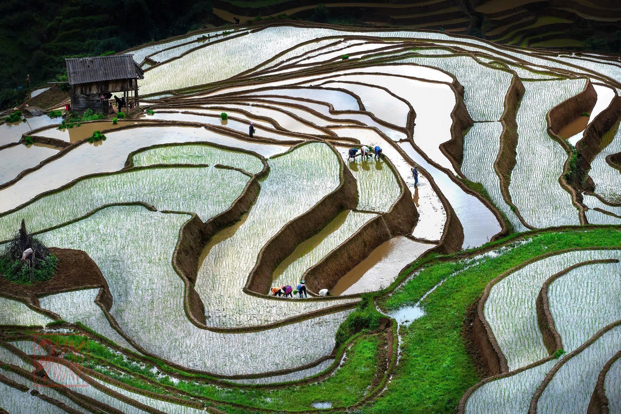Sapa landscape 1