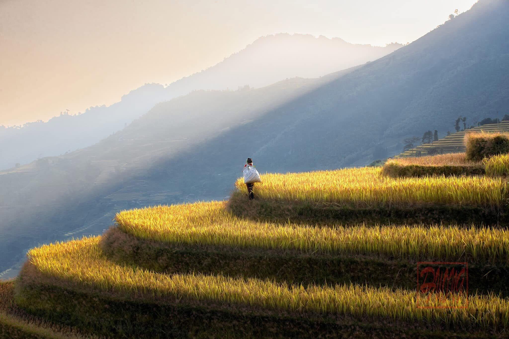 Sapa landscape 3